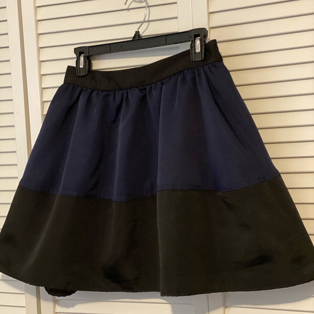 Express Flair A Line Skirt